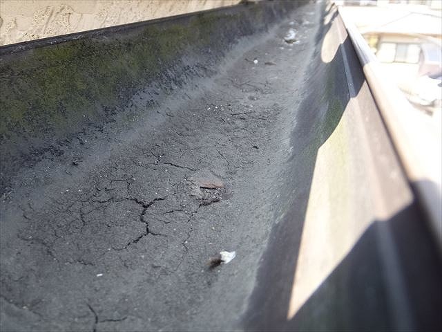 雨樋の中に溜まった泥